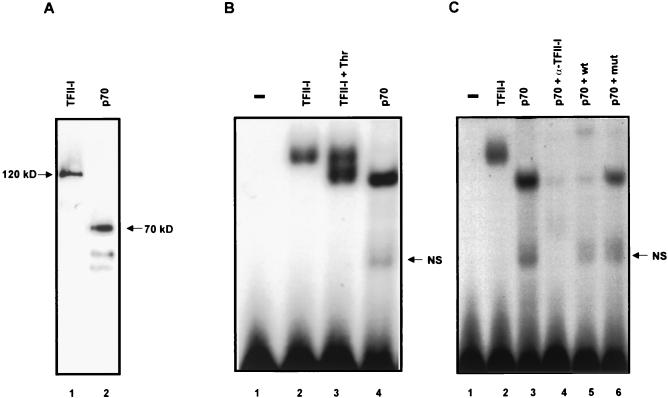 FIG. 5