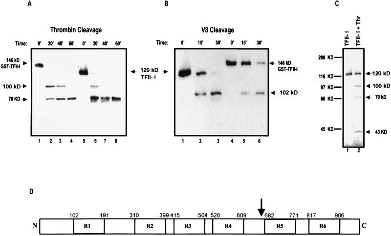 FIG. 4