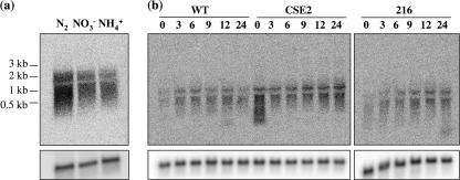 FIG. 5.