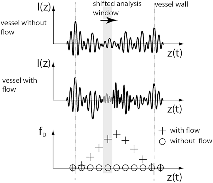 Fig. 2