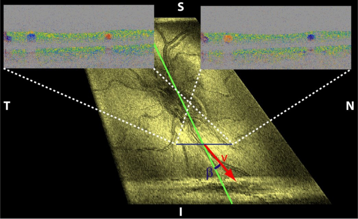 Fig. 7