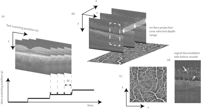 Fig. 17