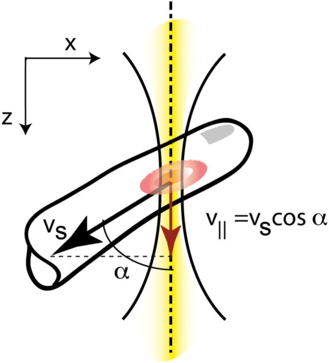 Fig. 1