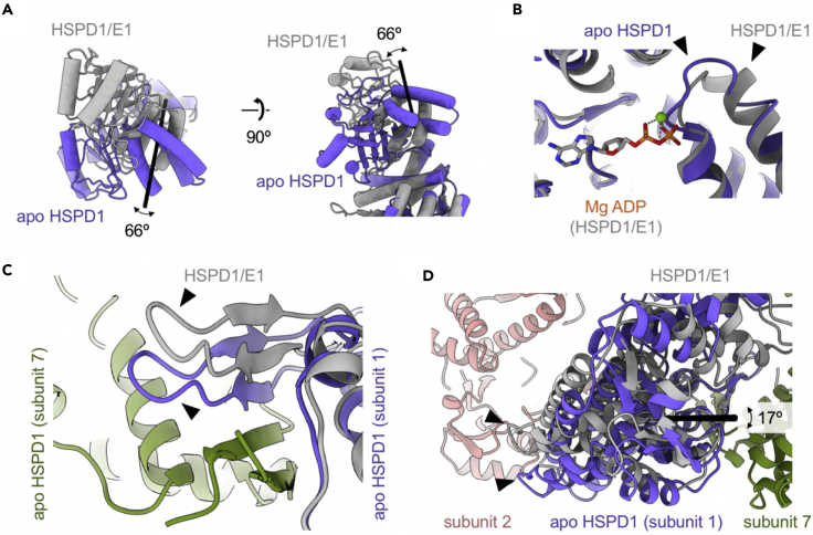 Figure 4