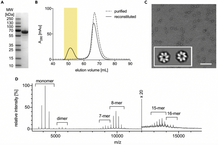 Figure 1