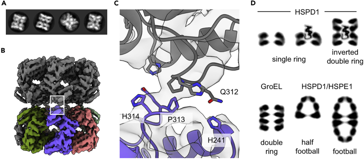 Figure 5