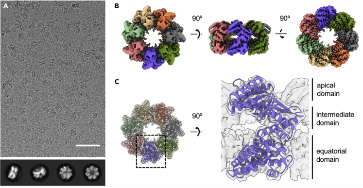 Figure 2