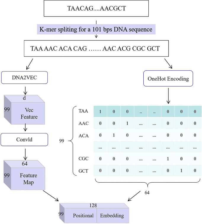 Figure 2