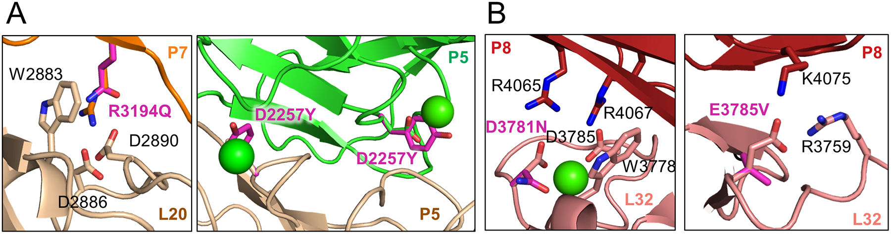 Figure 6.