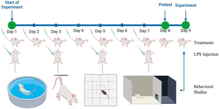 Figure 7