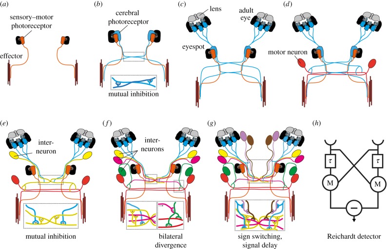 Figure 2.