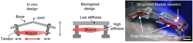 Figure 9.