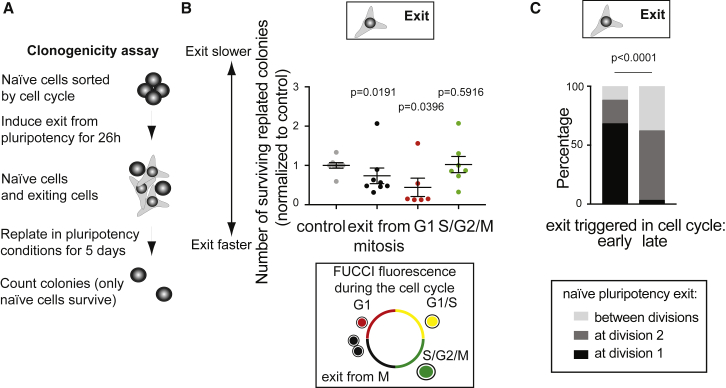 Figure 2