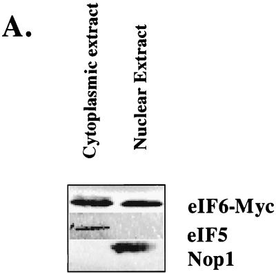 FIG. 6