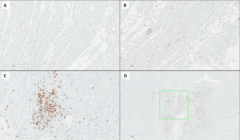 Fig 2: