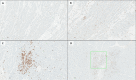 Fig 2: