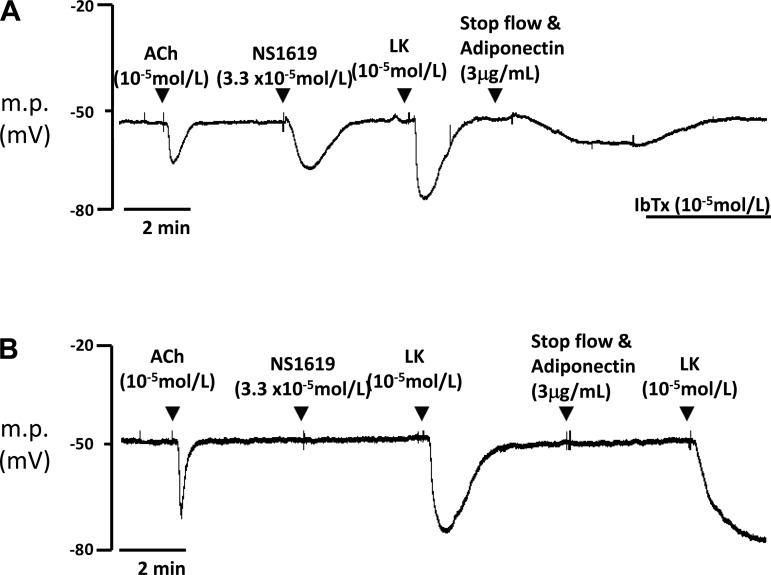 Fig. 5.