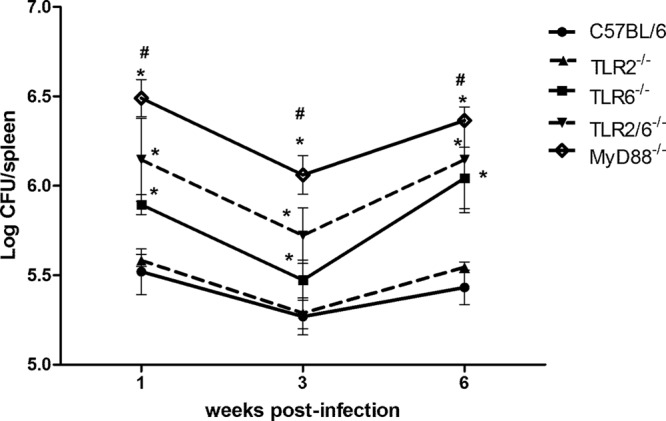 Fig 5