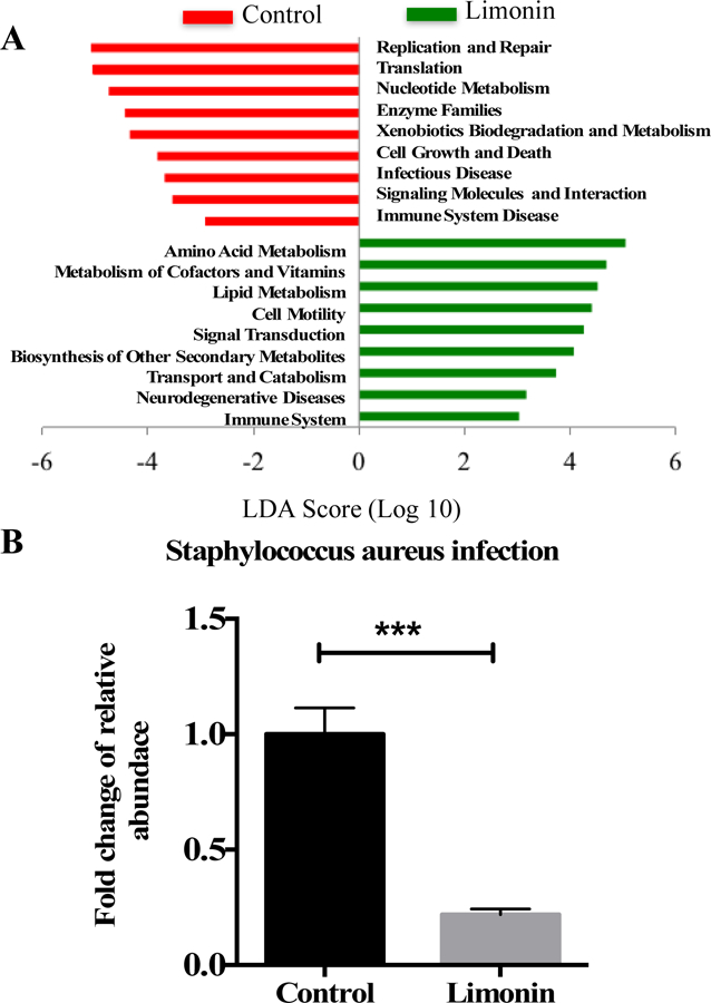 Figure 5: