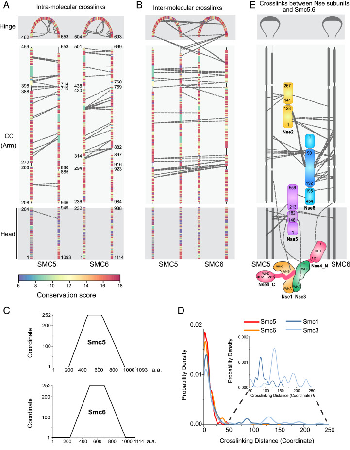 Fig. 2.