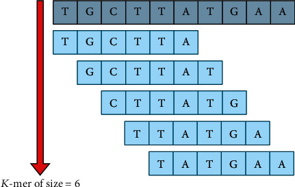 Figure 5