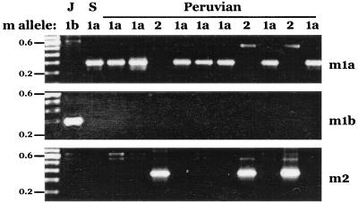 FIG. 6