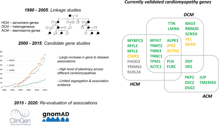 EJHF-2414-FIG-0004-c