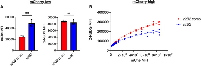 FIG 6