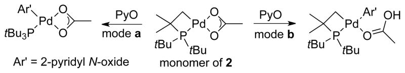 Scheme 2