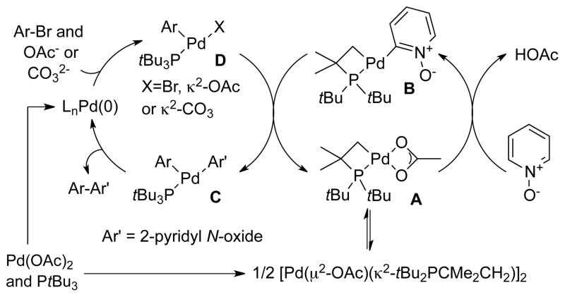 Scheme 5