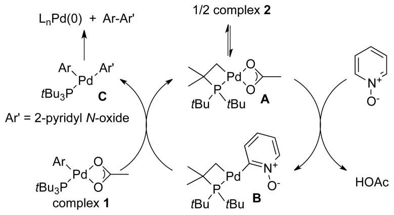 Scheme 3