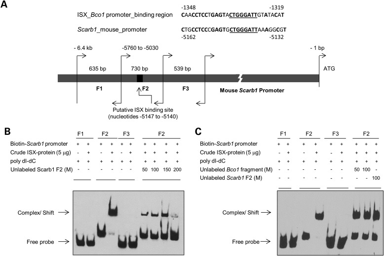 Figure 3.