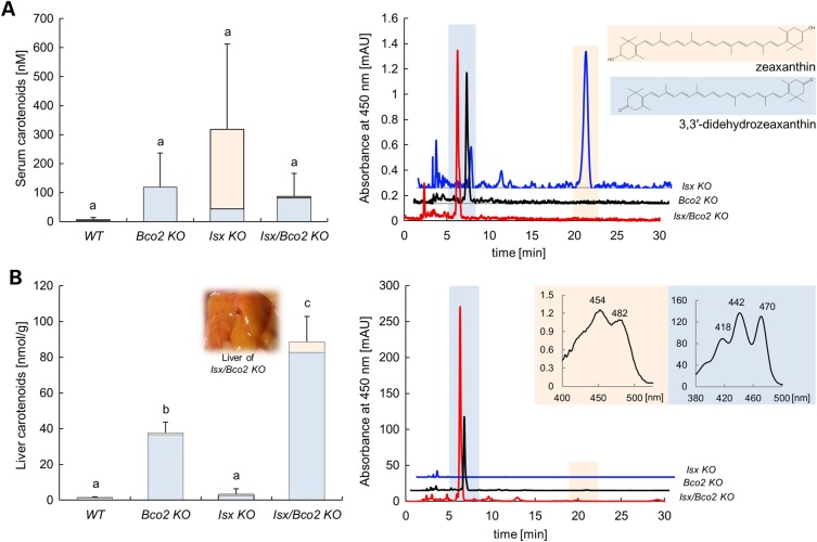 Figure 4.