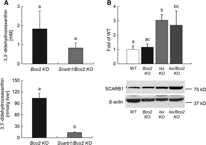 Figure 2.