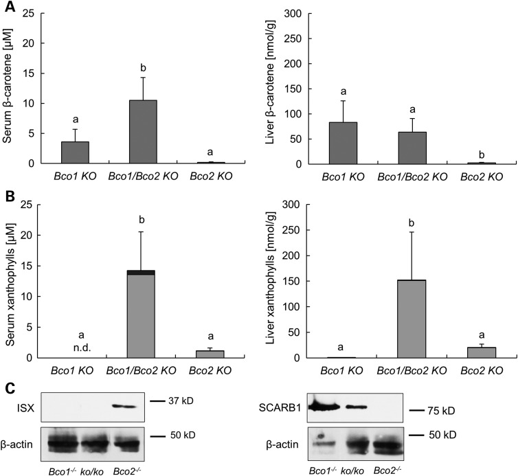 Figure 6.