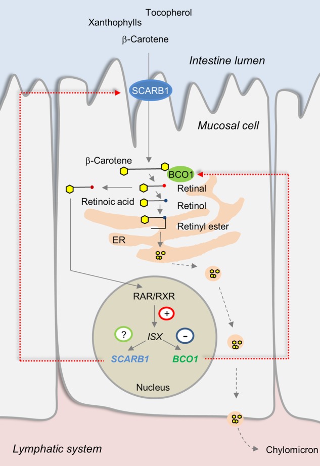 Figure 1.