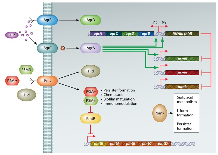 FIG 3