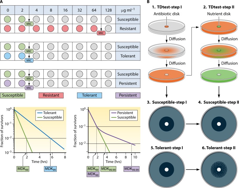 FIG 6