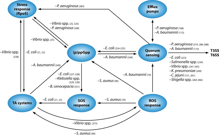 FIG 2