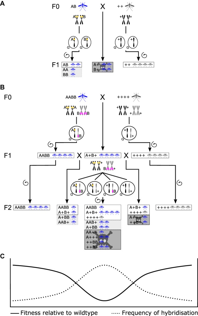 Figure 1.