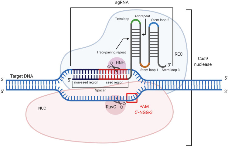 Figure 10