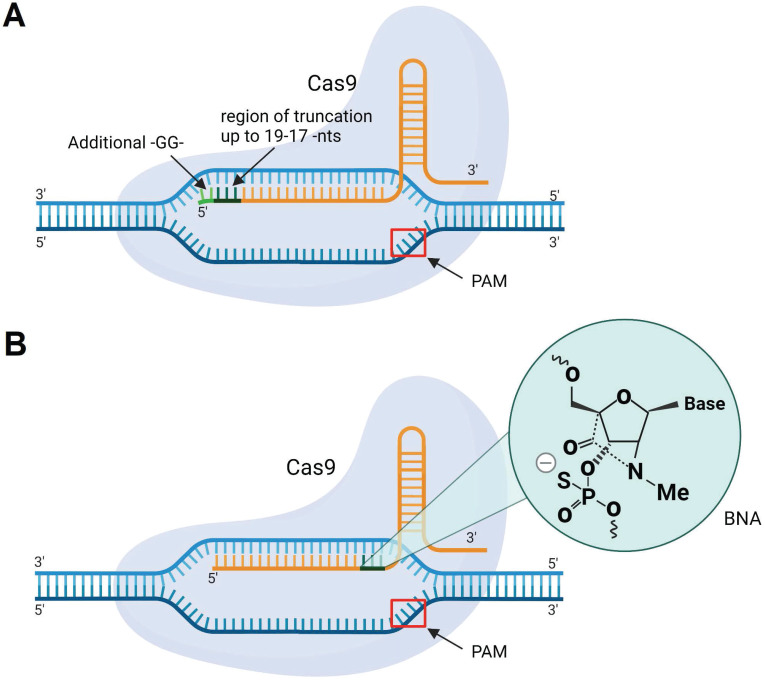 Figure 11