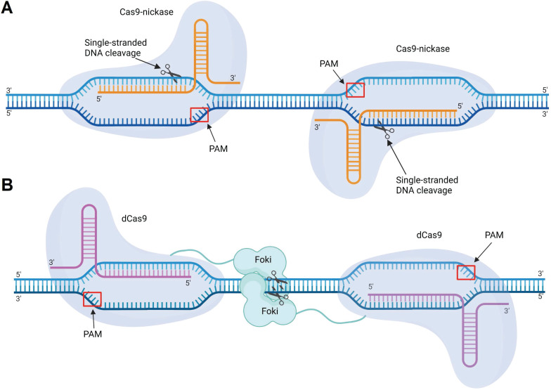 Figure 12