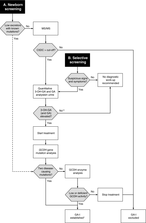 Diagnosis and management of glutaric aciduria type I – revised ...