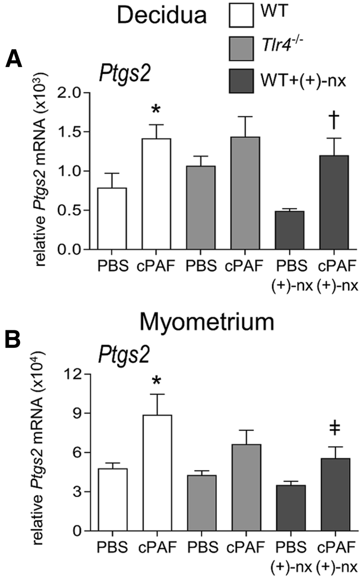 Figure 5