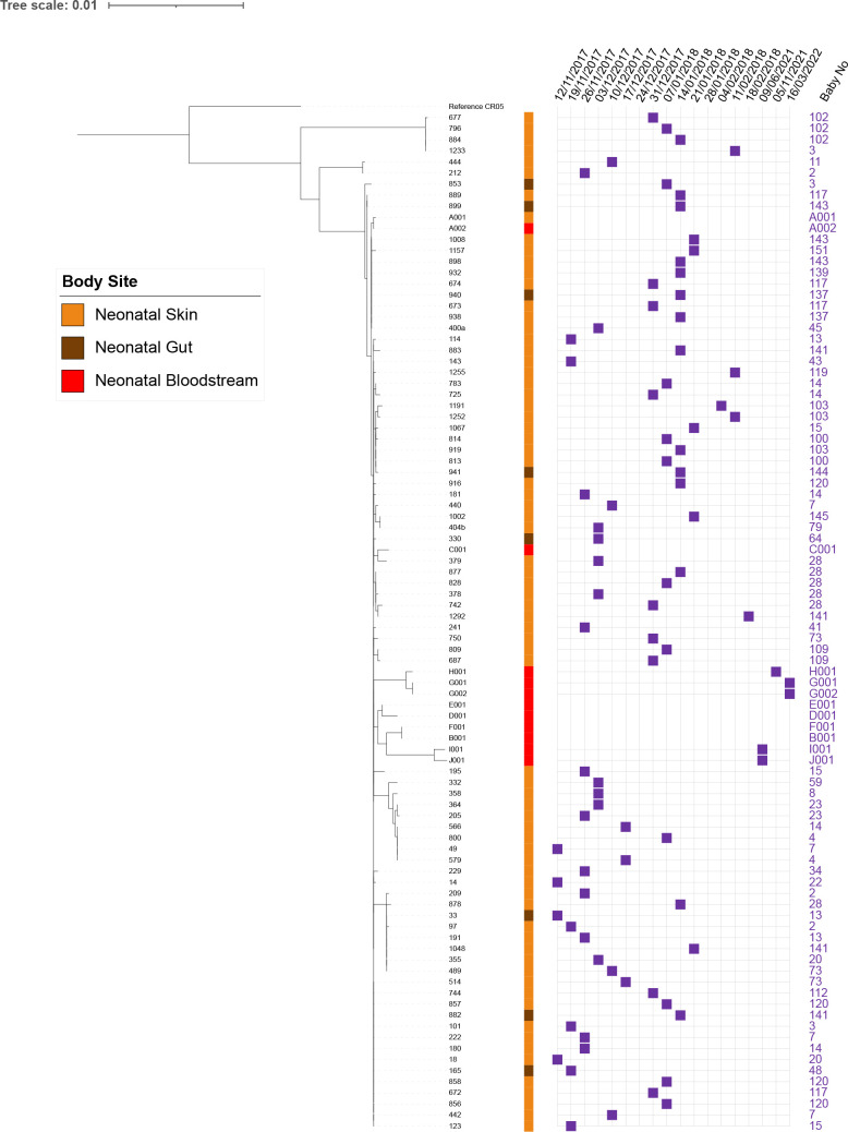 Fig. 2.