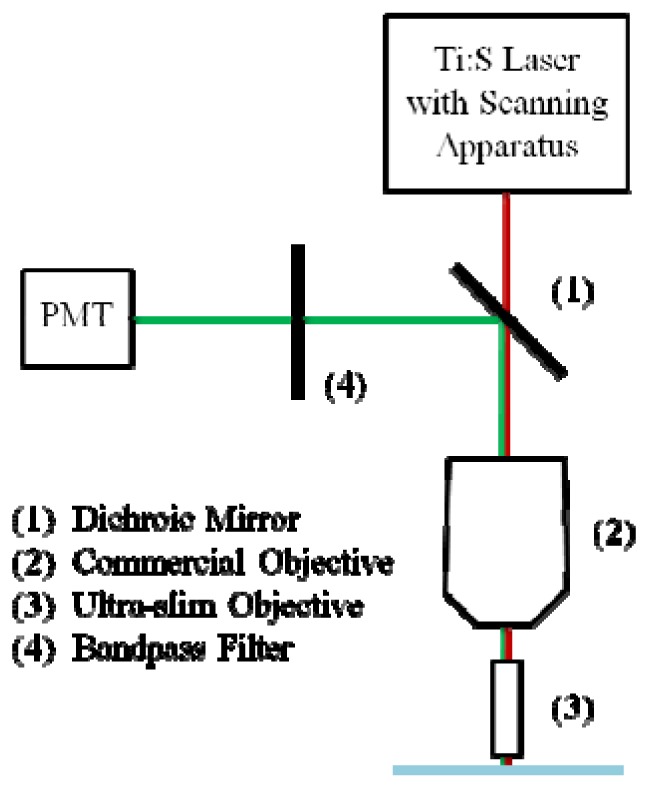 Fig. 5