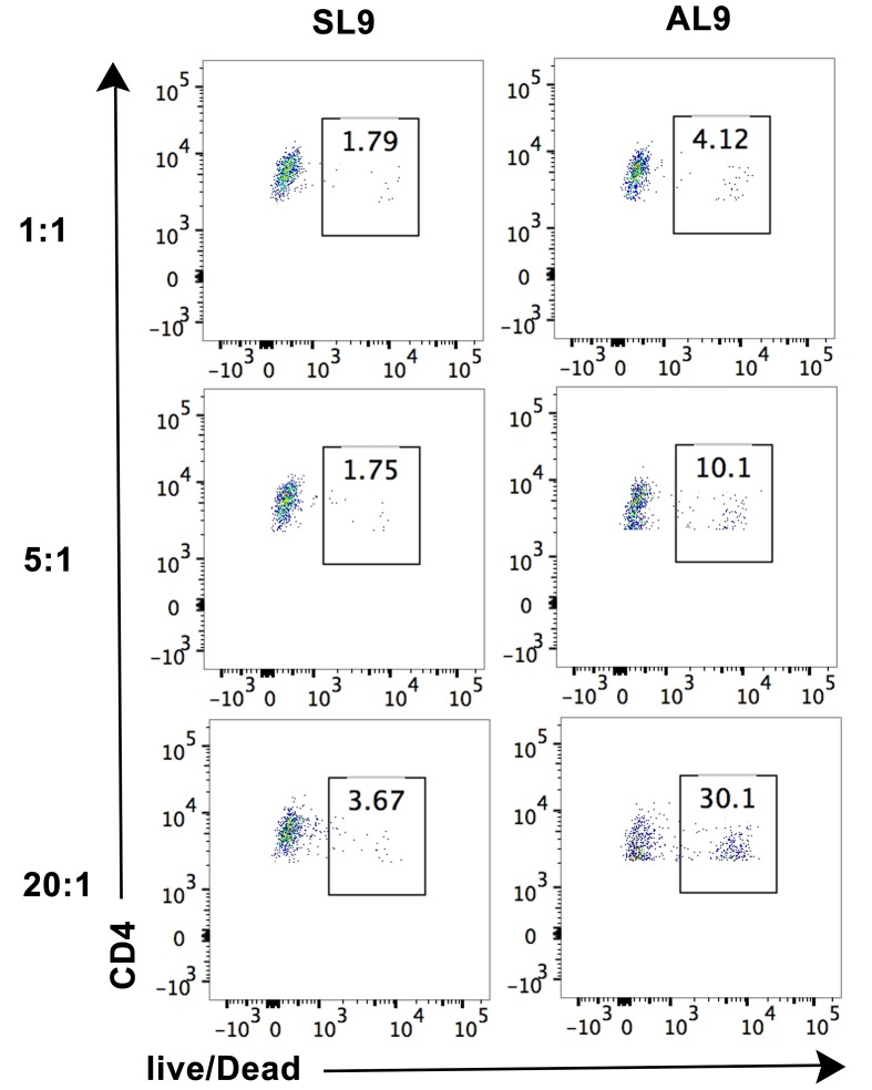 Figure 6—figure supplement 1.