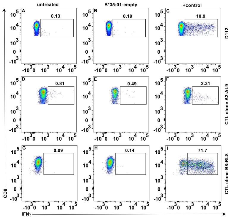 Figure 4—figure supplement 1.