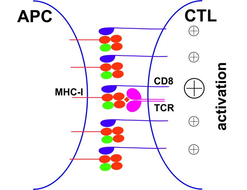 Figure 7.